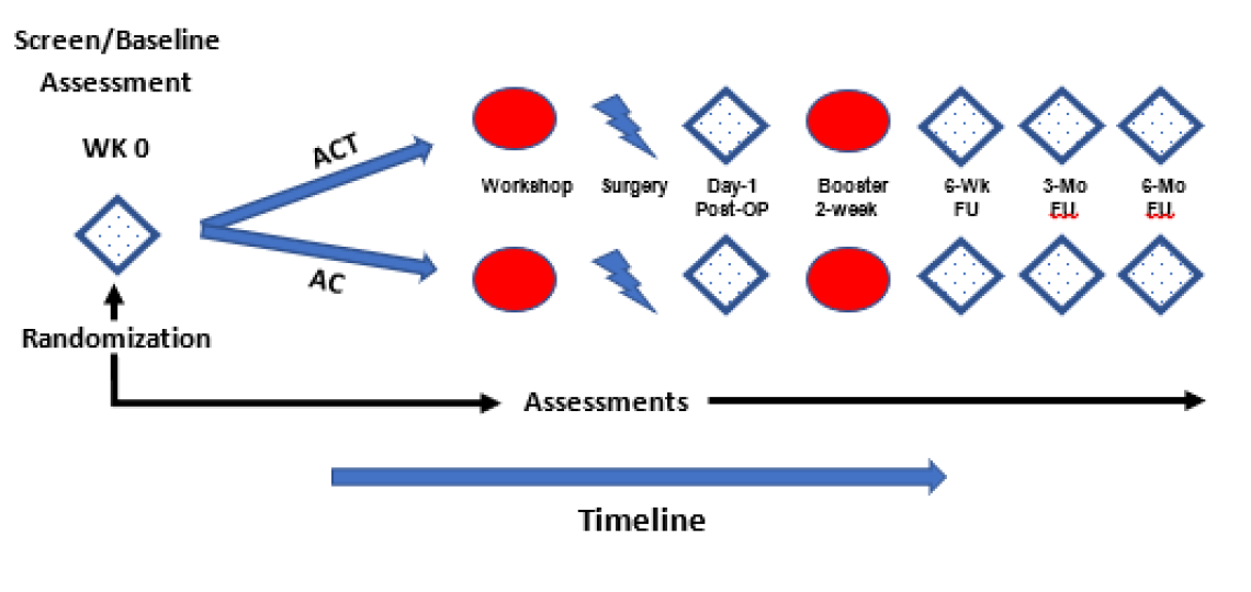 Screen Baseline Assessment