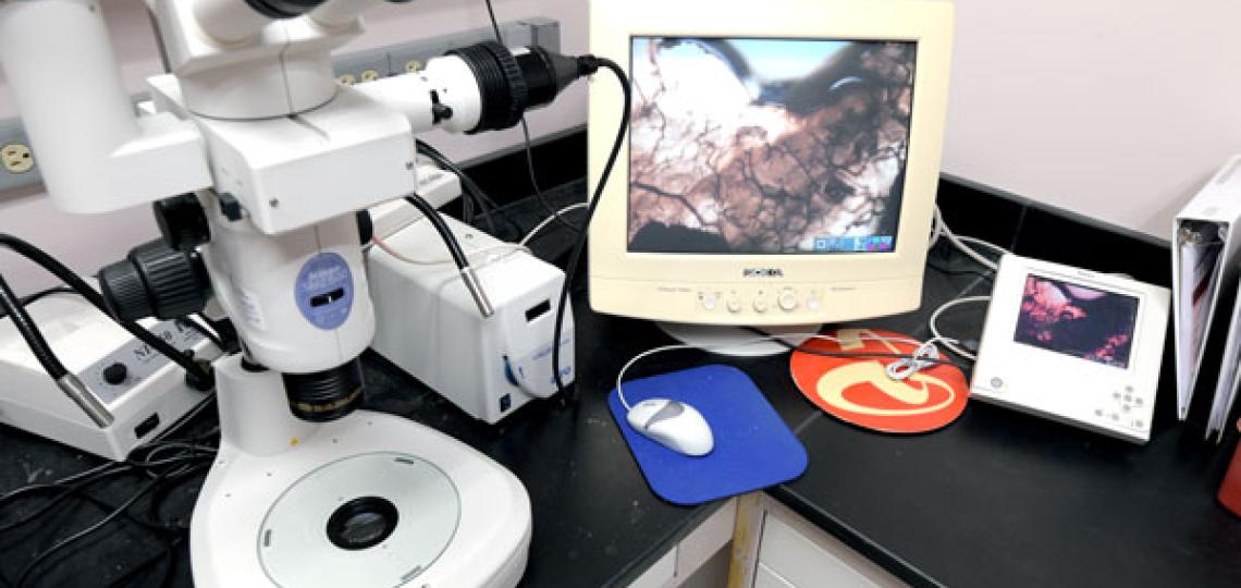 Nikon SMZ 1500 dissecting microscope