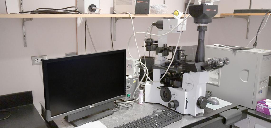 Olympus Fluoview confocal microscopy system