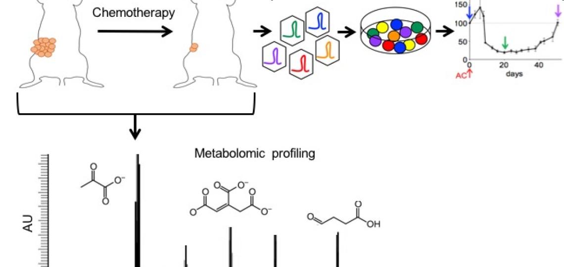 Functional genomics and barcode-mediated clonal tracking to combat TNBC therapeutic resistance