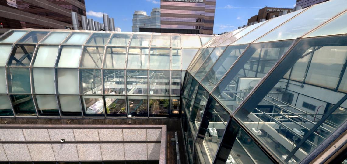 CNRC Greenhouse outside looking in