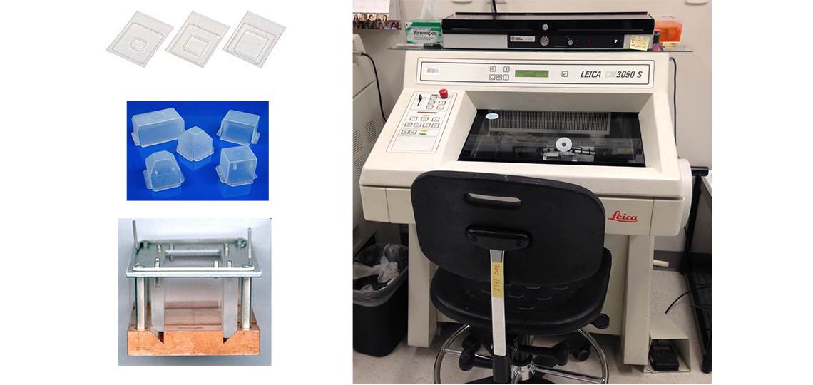 Equipment used in the RNA In Situ Hybridization Core for sectioning of frozen tissue. 