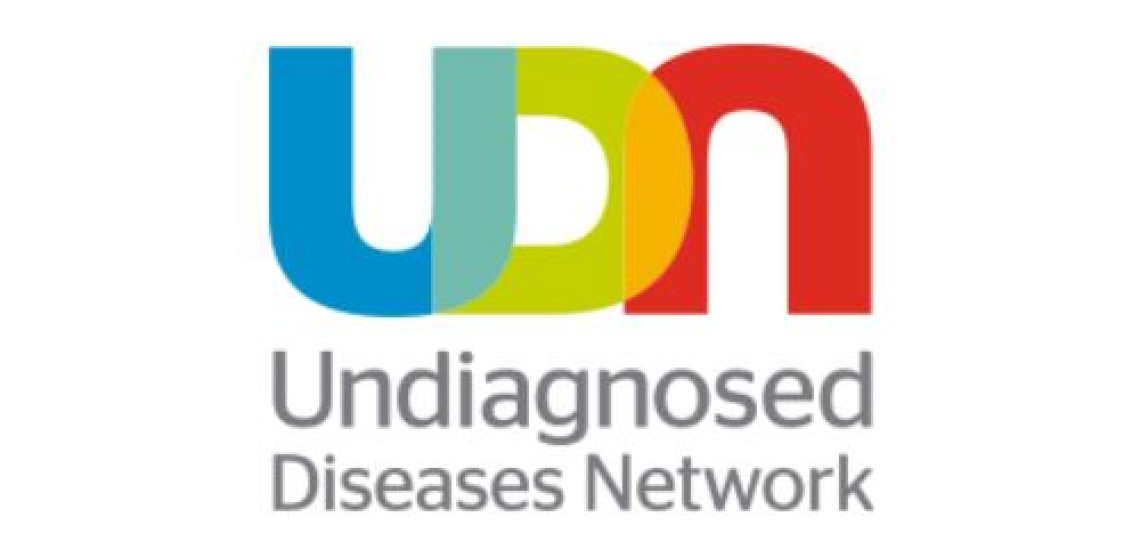 Logo for the Undiagnosed Diseases Network