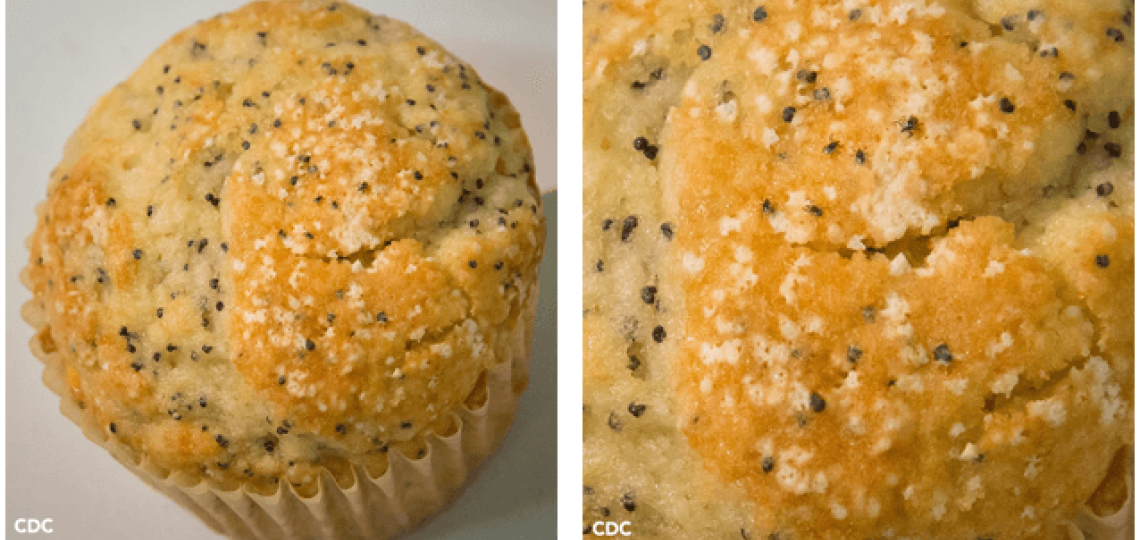A lemon poppy seed muffin with five tiny, difficult to see ticks on top