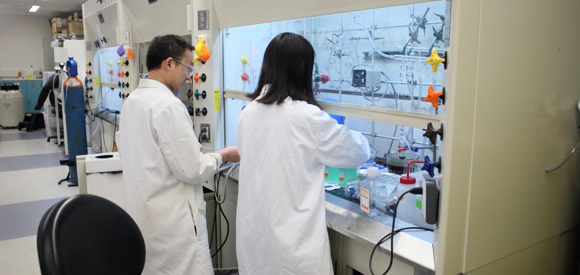Dr Chengwei Zhang and Dr. Hui Chen at work in the Pharmacology Department