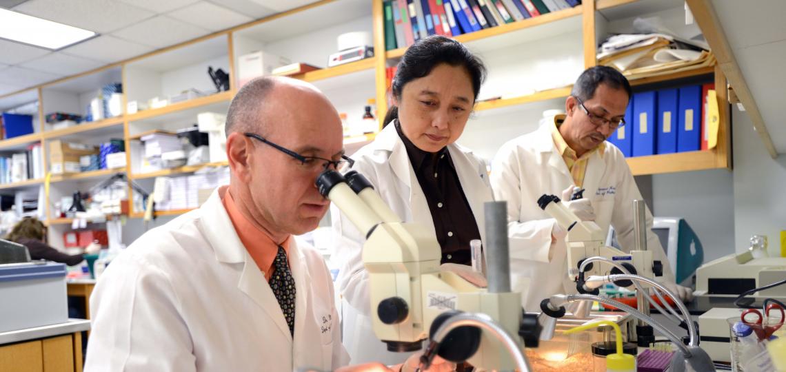 Dr. Martin M. Matzuk Dr. Martin M. Matzuk (left), director of the Center for Drug Discovery and vice chair of pathology & immunology