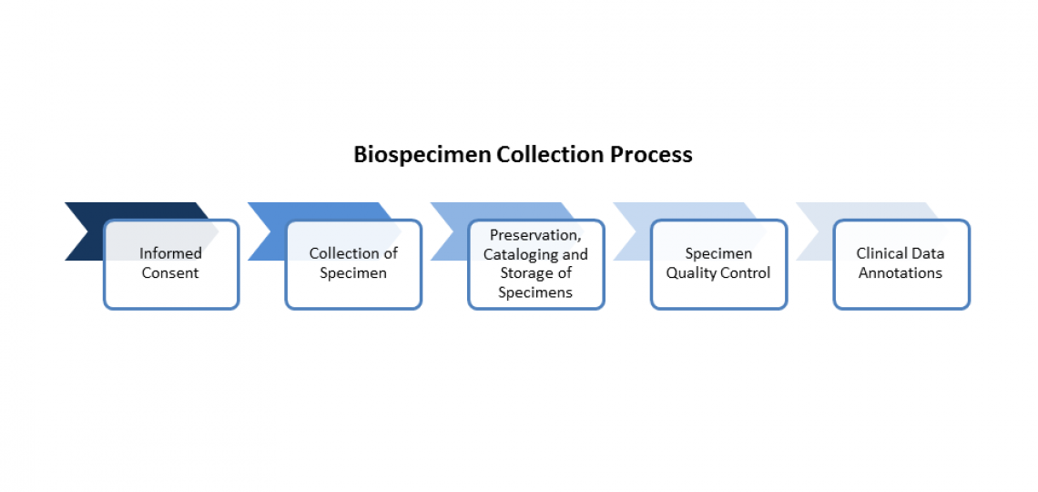 Flow chart for biobanking process.
