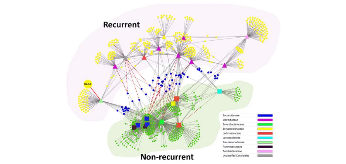Metabolite-taxonomical unit correlation network