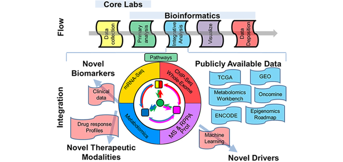 Multi-Omics Data Analysis | BCM