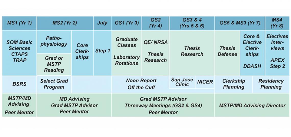 MD PHD Program curriculum graph