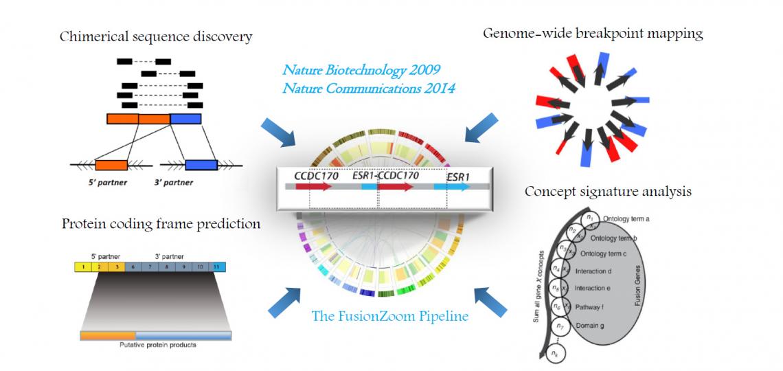 The FusionZoom Pipeline: discovering pathological recurrent gene fusions from the scrambled cancer genome.