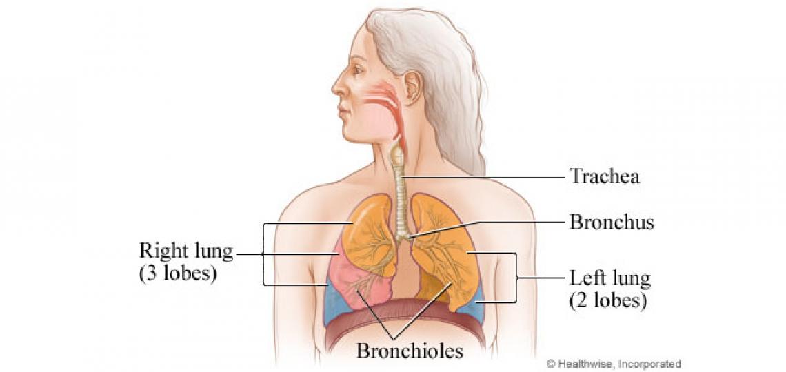 Plication of the Diaphragm