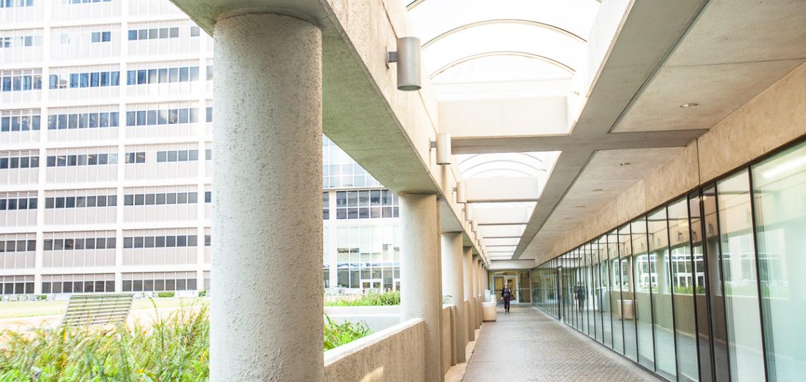 Main campus entry walkway