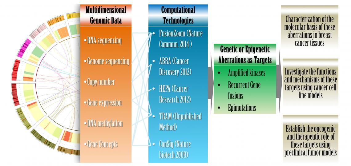 Our multidisciplinary approach