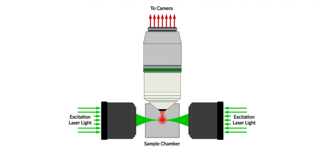 LightSheet Microscopy