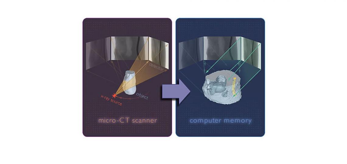 micro computed tomography methods