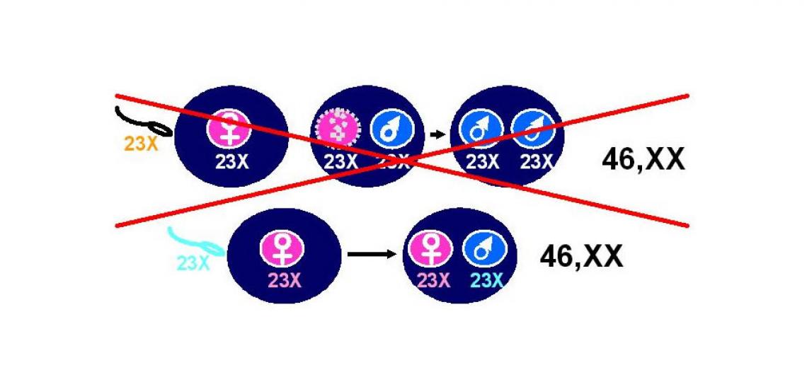 mole2 Figure 2: Illustration showing recurrent familial HM are different.