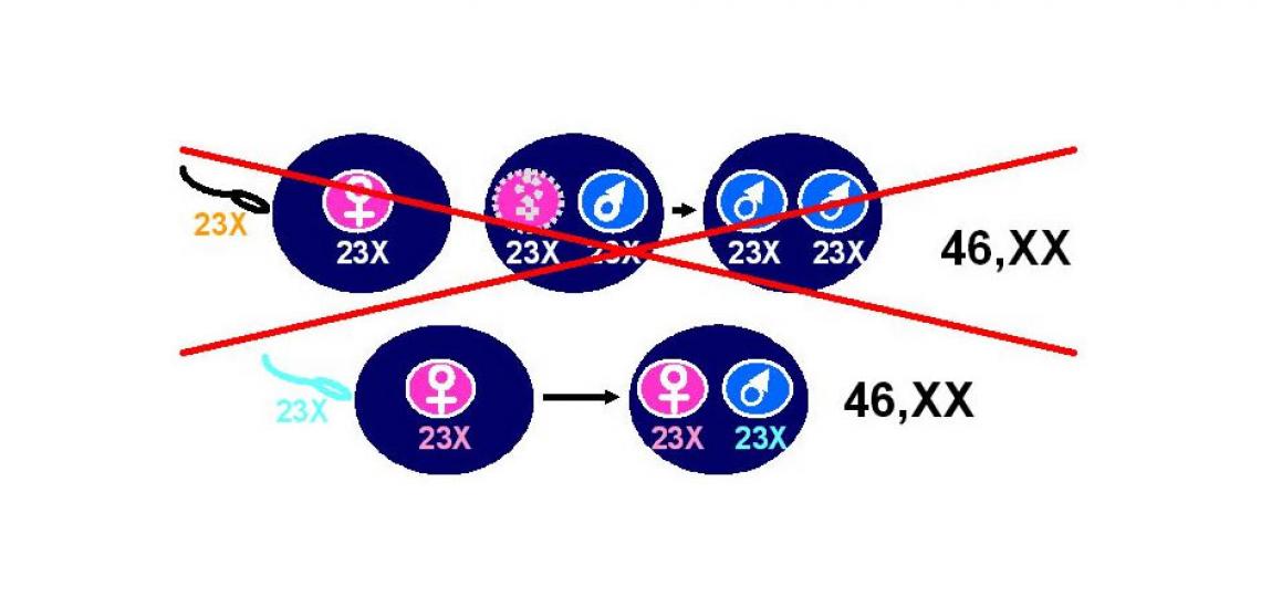 Figure 2: Illustration showing recurrent familial HM are different.