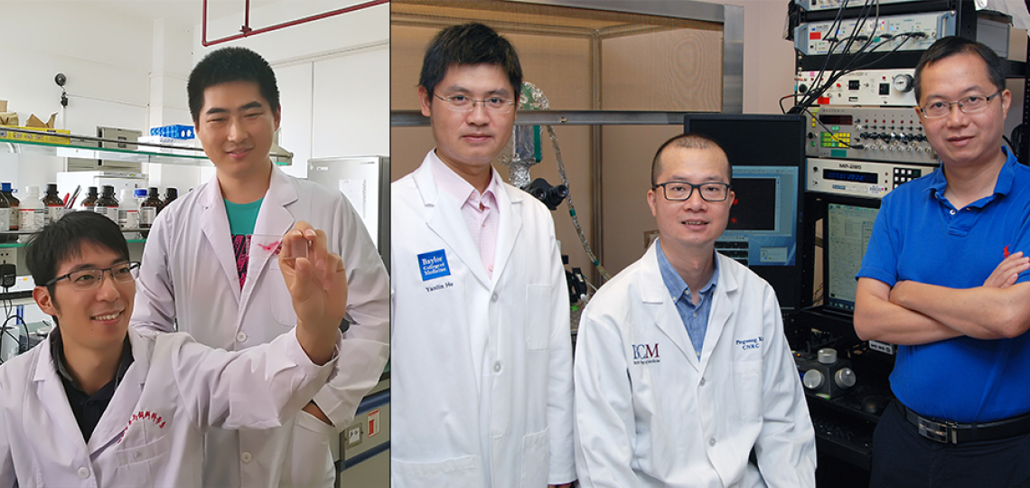From left: Canjun Zhu and Dr. Gang Shu at South China Agricultural University, and Dr. Yanlin He, Dr. Pingwen Xu and Dr. Yong Xu, at Baylor College of Medicine.