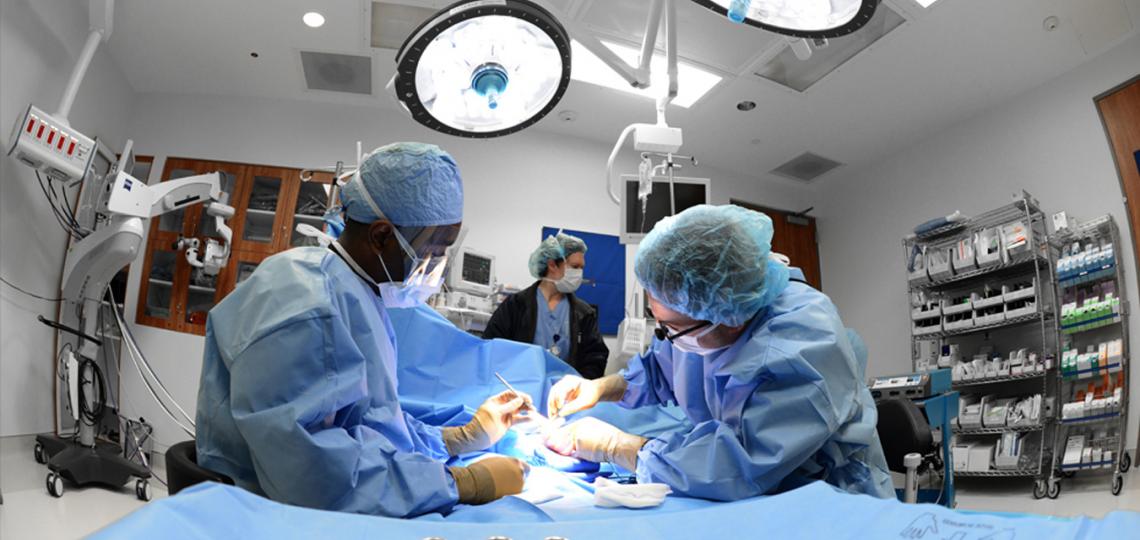 Plastic Surgery Integrated Residency