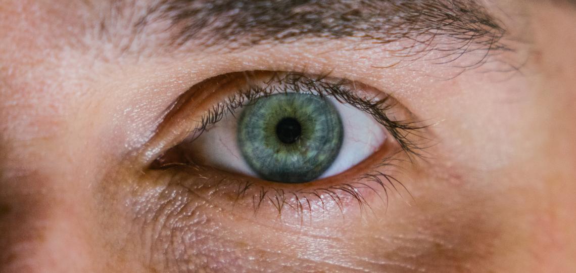INSiGHT identifies unique retinal regulatory genes