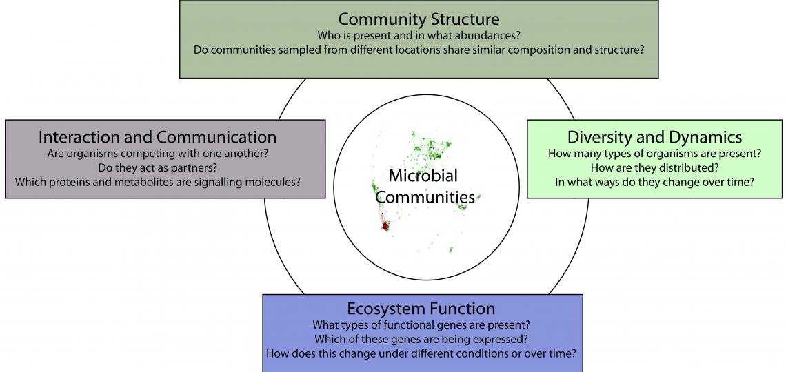 Study of microbes and their interactions with one another and their environment