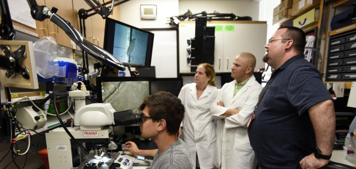Dr. Venken discusses research findings on microscope with Nick Matinyan, Yezabel Gonzalez, and Alejandro Sarrion-Perdigones.