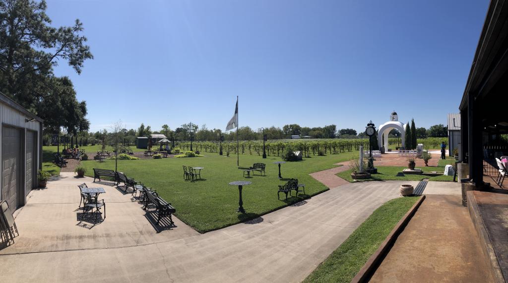 Stroll through a lush vineyard and enjoy a wine tasting at Haak Vineyards and Winery.