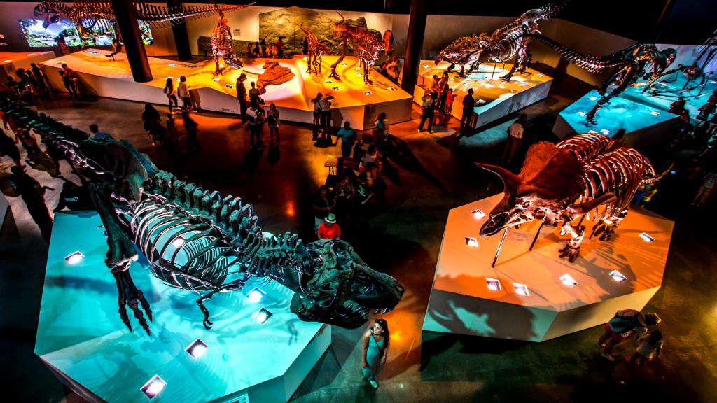 A favorite of all science lovers, the Museum of Natural Science has top notch exhibits and also hosts fun events throughout the year.