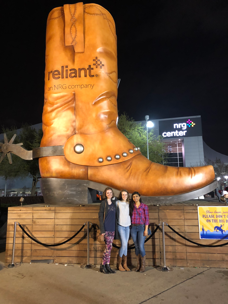 Have a true Texas experience at the Houston Livestock Show and Rodeo! You will enjoy a fun carnival, award-winning livestock, lively rodeo, and concert with famous artists.