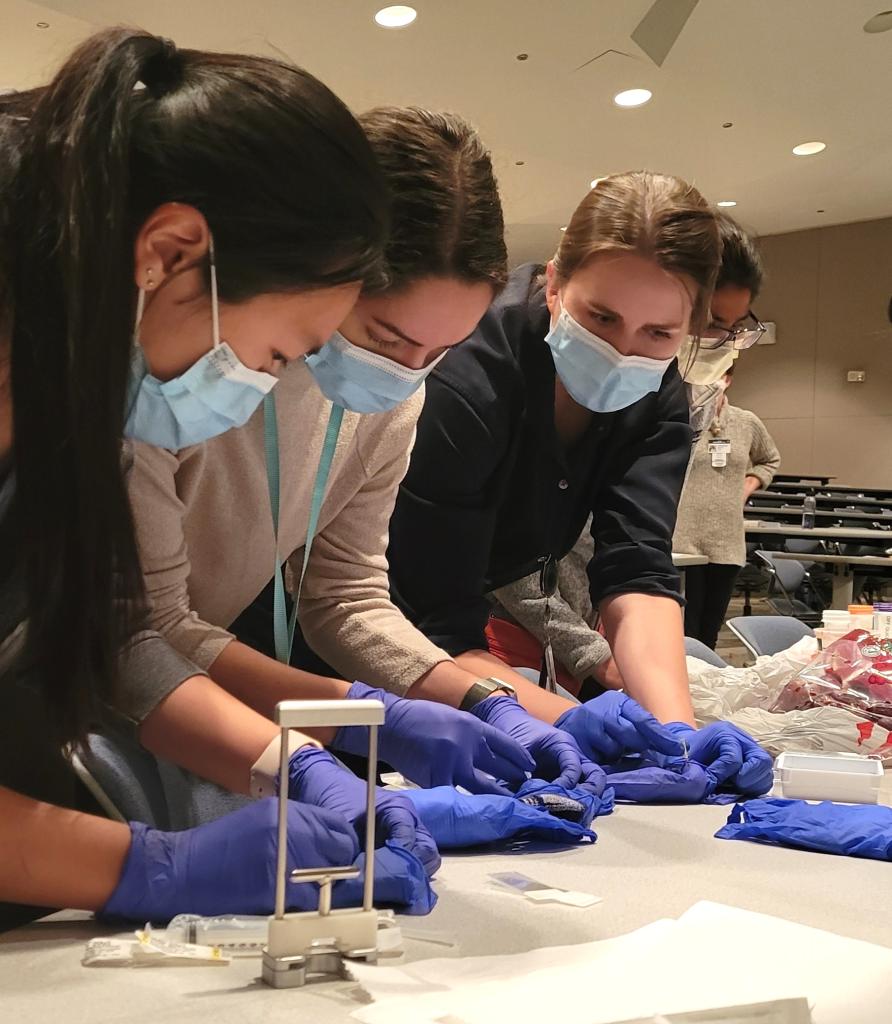Residents help students in the BCM School of Medicine Pathology interest group try their hand at preparing simulated superficial fine needle aspiration (FNA) slides.