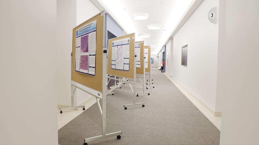 A series of poster presentation mounted on rolling boards in a hallway during the 2022 Annual Pathology and Immunology Trainee Research Symposium.