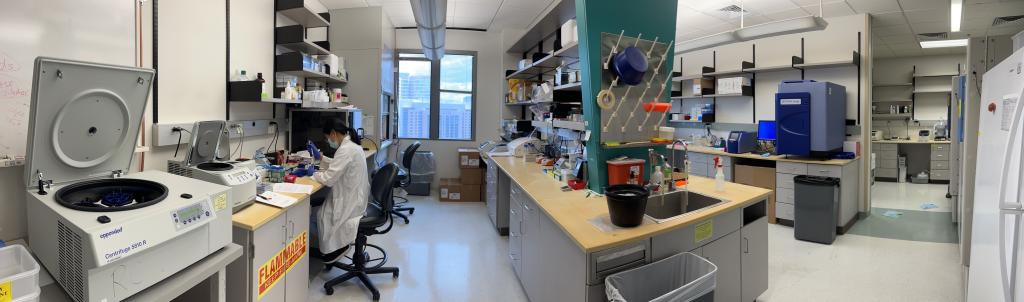 Photo of the wet lab area for the Chen Lab.