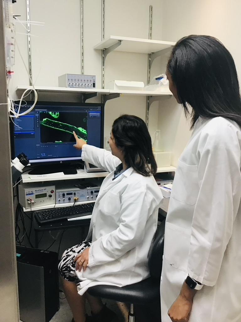 Yuriana and Lauren imaging cardiac myocytes using the confocal microscope.