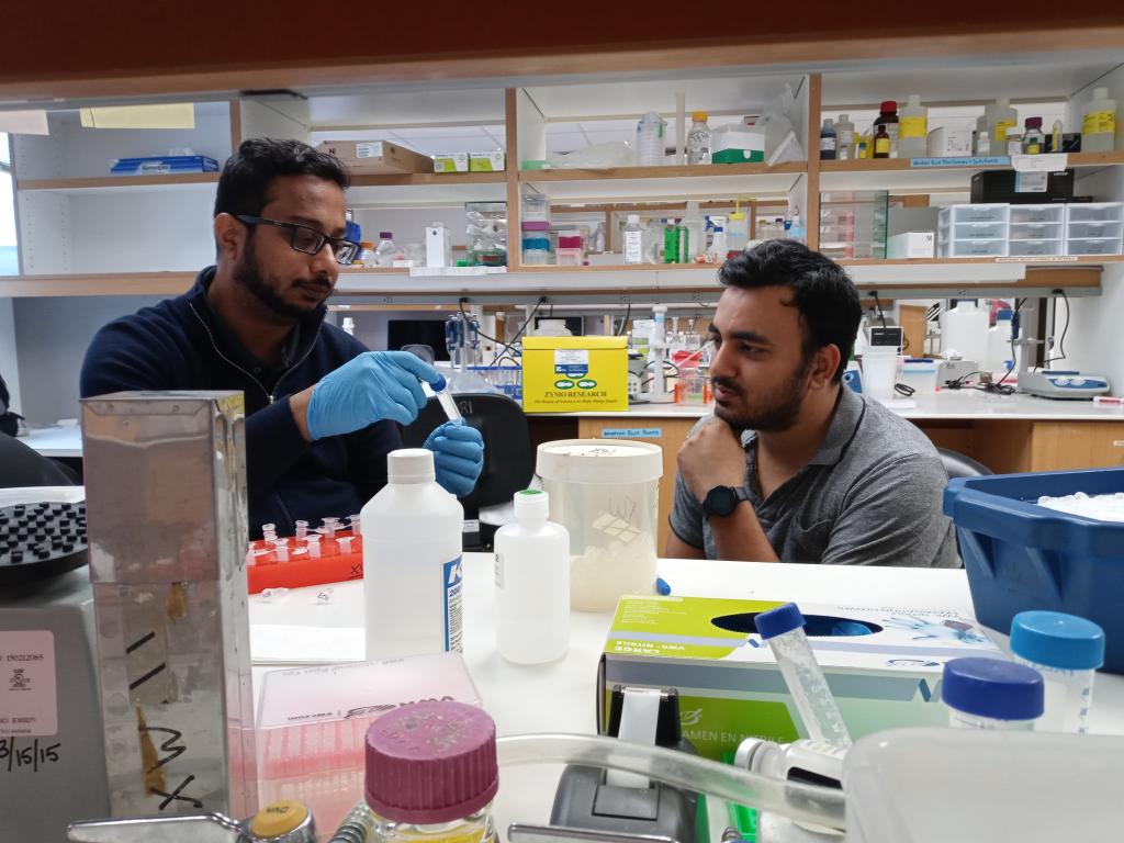 Mohit and Satadru checking samples in the lab.