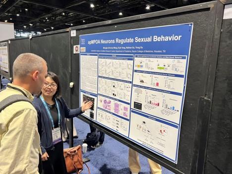 group of people looking at a poster at the 2024 SfN