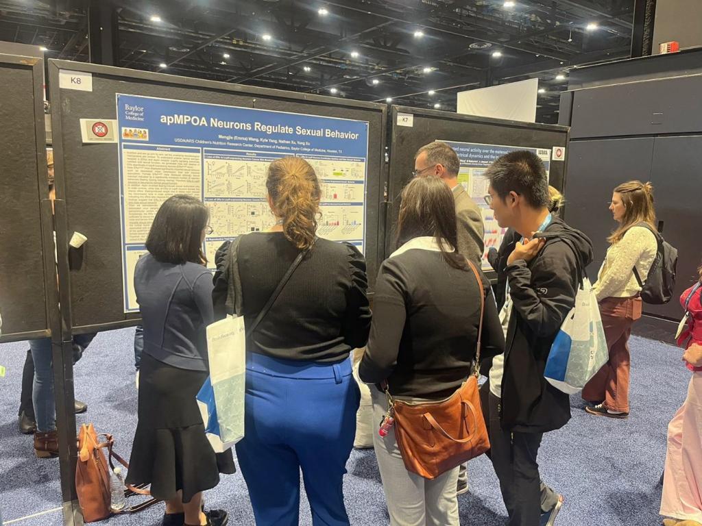 group of people looking at a poster at the 2024 SfN