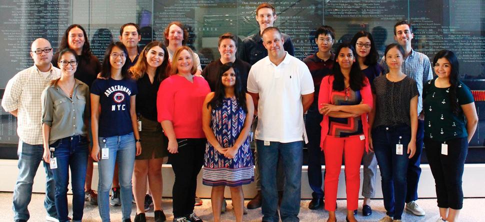Deneen Lab Members 2017 posing in rows, smiling