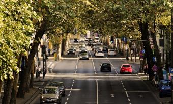 Photo of multiple cars driving along a tree lined road.