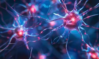 Pink and blue drawing of a neuron.