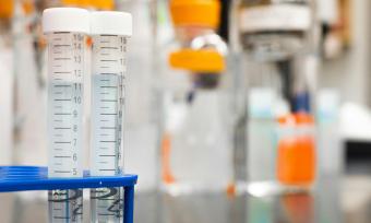 Photo of a lab counter showing test tubes and jars with liquid. 