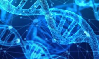 DNA