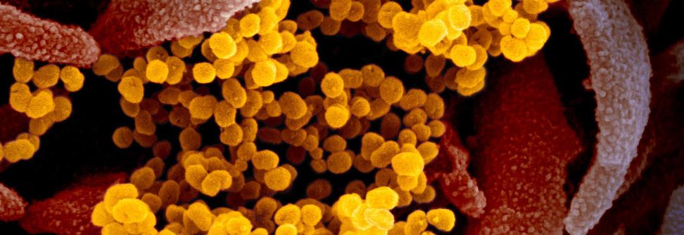 Coronavirus Preparedness Coronavirus Preparedness
