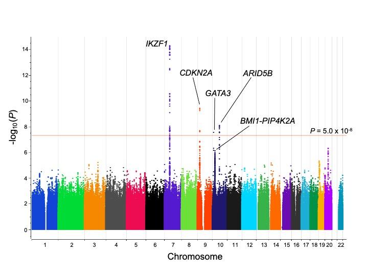 Down Syndrome Phenotyping of Acute Leukemia 