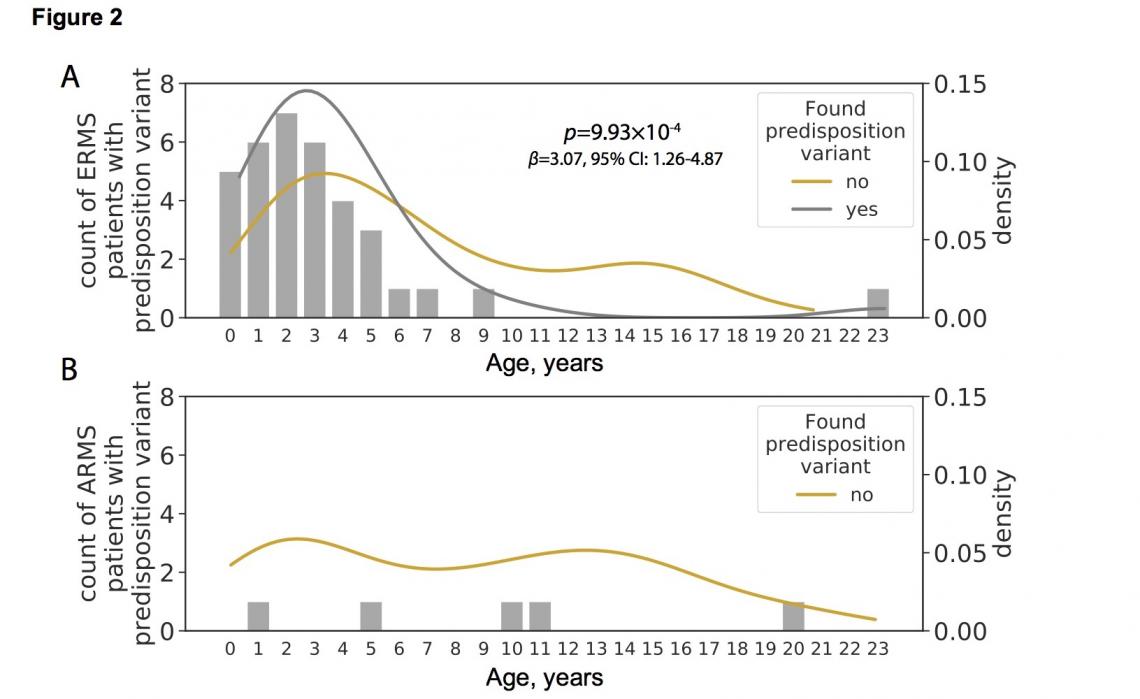 Age distribution of individuals with and without cancer predisposition variants