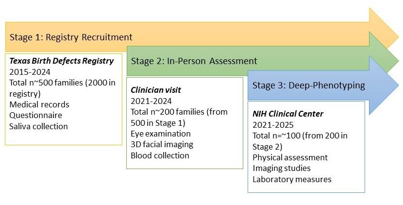 Microphthalmia, Anophthalmia, and Coloboma Genetic Epidemiology in Children 