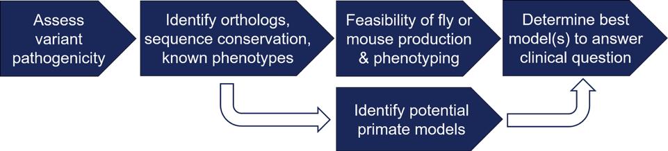 Precision Cores Flowchart