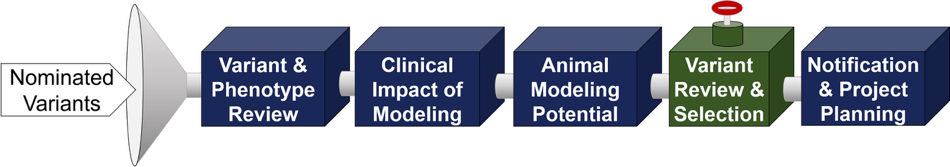 Visual representation of the process described below