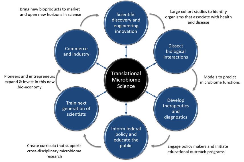 TMS Diagram