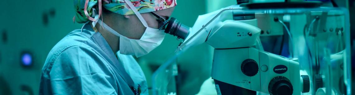 Obstetrics and Gynecology Research